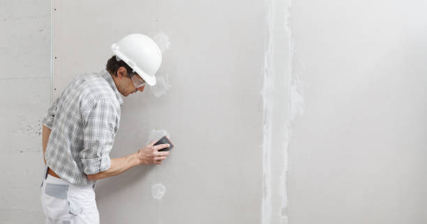 Professional Mold Removal in Cartersville, GA