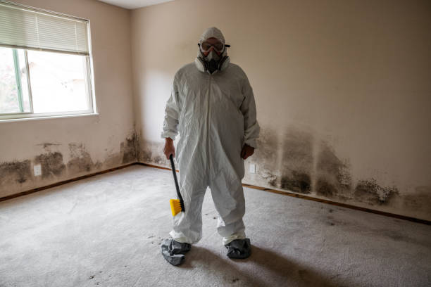 Best Industrial Mold Remediation  in Cartersville, GA